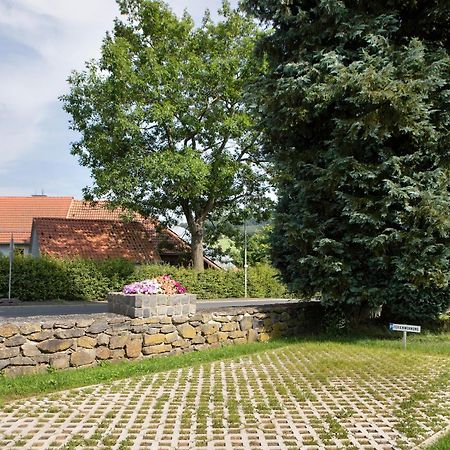 Ferienwohnung Wiesenschneiders Freiensteinau エクステリア 写真